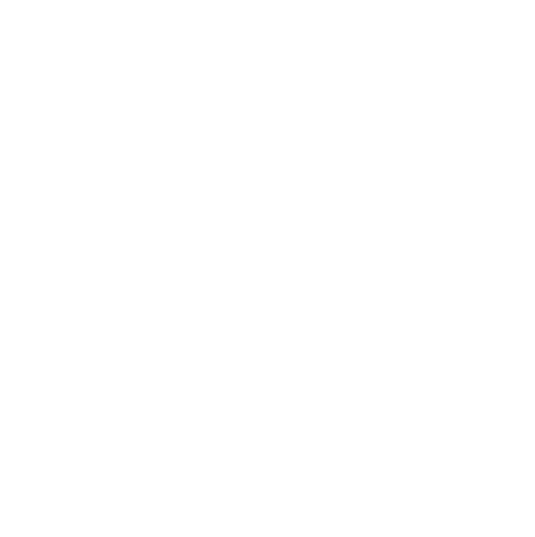 Équipe SK Gaming Prime