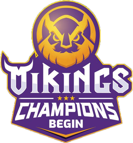 Équipe Vikings Esports